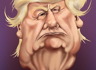 caricature section 172