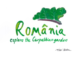 Finalists of 6th International Rhubarb Cartoons Contest, Romania 2024