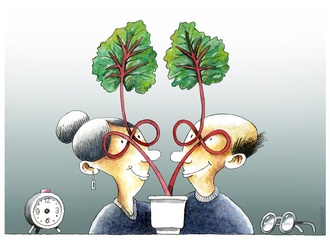 Finalists of 6th International Rhubarb Cartoons Contest, Romania 2024