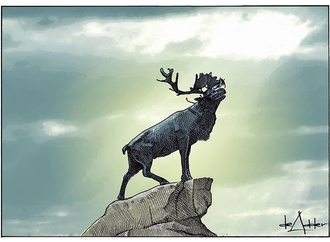 
                                                                                                  Michael DE Adder - Canada