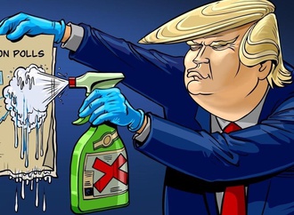 virtual cartoon exhibition "Trump's Defeat"