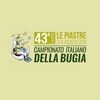 43rd Italian Lies championship graphics 2019 | Italy
