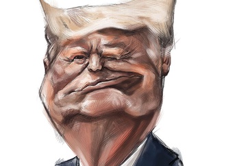 caricature section 214