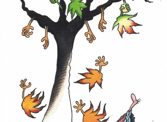
                                                            musa gumus turkey 9