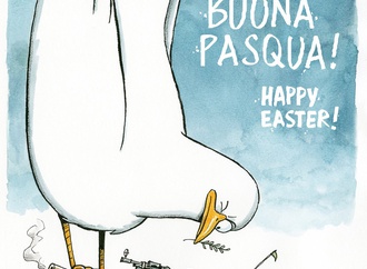 
                                                            marco de angelis italy 12