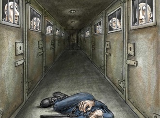 
                                                            majid amini iran 3