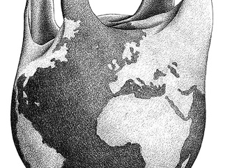 
                                                            paolo dalponte italy 135