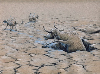 
                                                            shahram rezaei iran 4