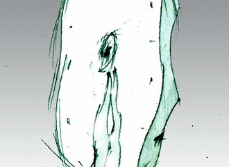 halina kuznicka poland 5