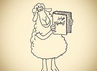
                                                            ali jahanshahi3