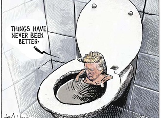 
                                                            michael de adder the halifax chronicle herald