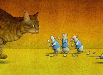 pawel kuczynski 13