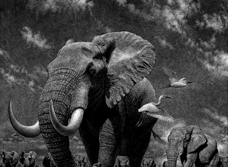 
                                                            ricardo martinez chile 34