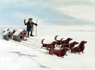 
                                                            pavel matuska czech republic 6