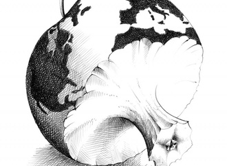 
                                                            tomaso marcolla italy 2