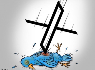 
                                                            morad kotkot palestina 17
