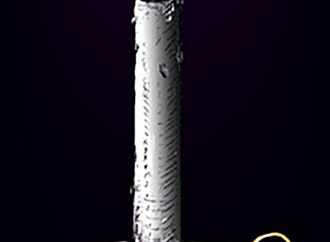 
                                                            husejin hanusic hule 31