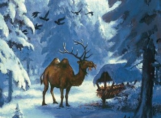 
                                                            rudi hurzlmeier germany 85