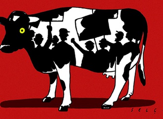 
                                                            selcuk demirel turkey 11