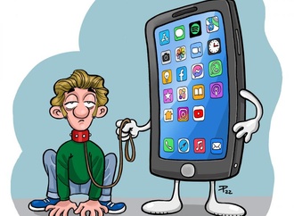 pedro ribeiro ferreira 8