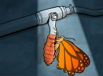 
                                                            alireza_pakdel cartoon15