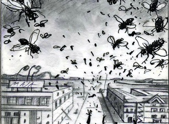 
                                                            daniel maja france 16