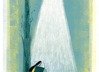 klaas verplancke belgium 11