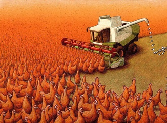 
                                                            pawel kuczynski poland 341