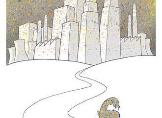 
                                                            engin selcuk turkey 9