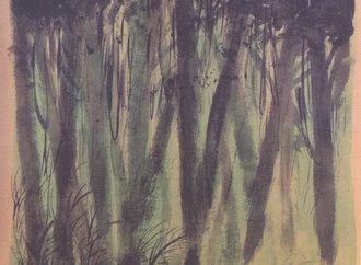 
                                                            orlando pedrozo brazil 3