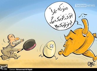 گرانی مرغ