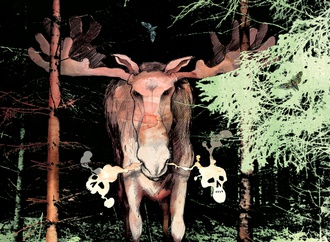 
                                                            lars vegas denmark 105