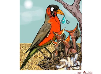 
                                                            1st kurd cartoon forum syriacartoon2019 54