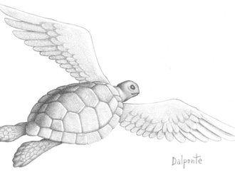 
                                                            paolo dalponte italy 44