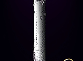 
                                                            hule hanusic austria 33