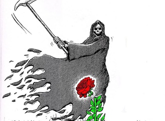 رومینا قربانی خرده فرهنگ