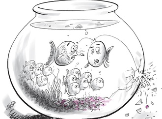 
                                                            bozorgmehr hosseinpour iran 82