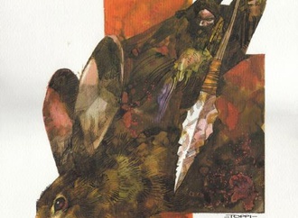 
                                                            sergio toppi italy 11