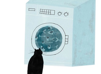 
                                                            klaas verplancke belgium 90