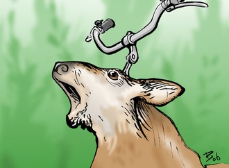 
                                                            bob katzenelson denmark 14