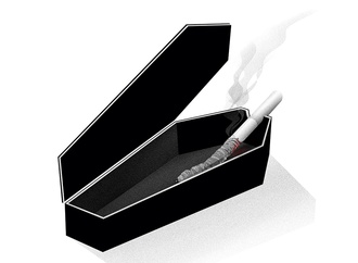 
                                                            daniel stolle germany 2