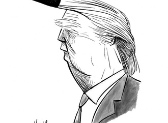 
                                                            elmer argentina 2