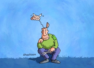 
                                                            shaditoon 1