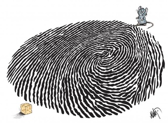 
                                                            murteza albayrak turkey 9