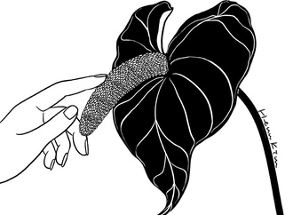 
                                                            henn kim south korea 106
