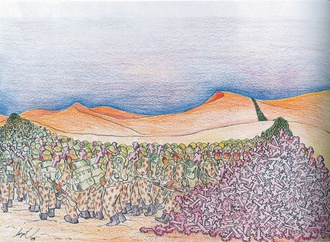 
                                                            baki murat top turkey