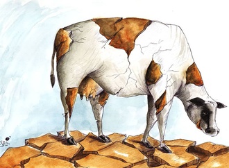 
                                                            sohrab kheiri 10