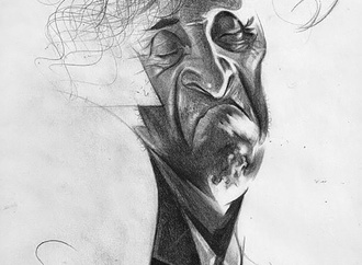 
                                                            ziraldo by julio ibarra