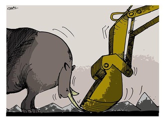 
                                                            osvaldo gutierrez gomez cuba 63