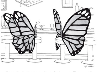 
                                                            charlie hankin usa 48